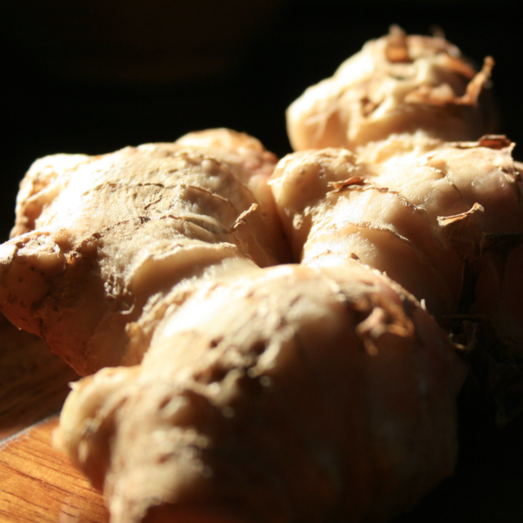 Ginger Essential Oil