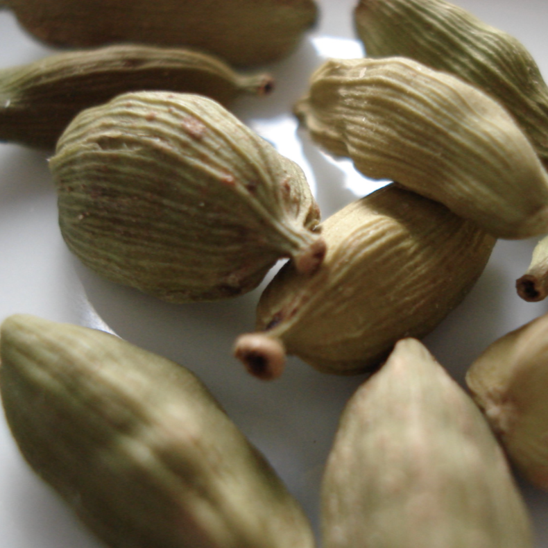 Cardamom Essential Oil